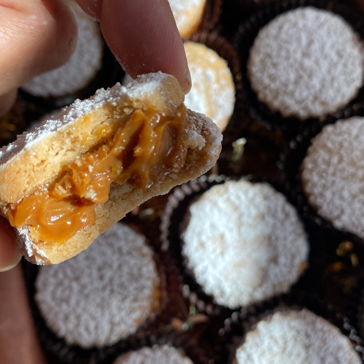 Celebration Classic Alfajor Gift Box (BEST SELLER)
